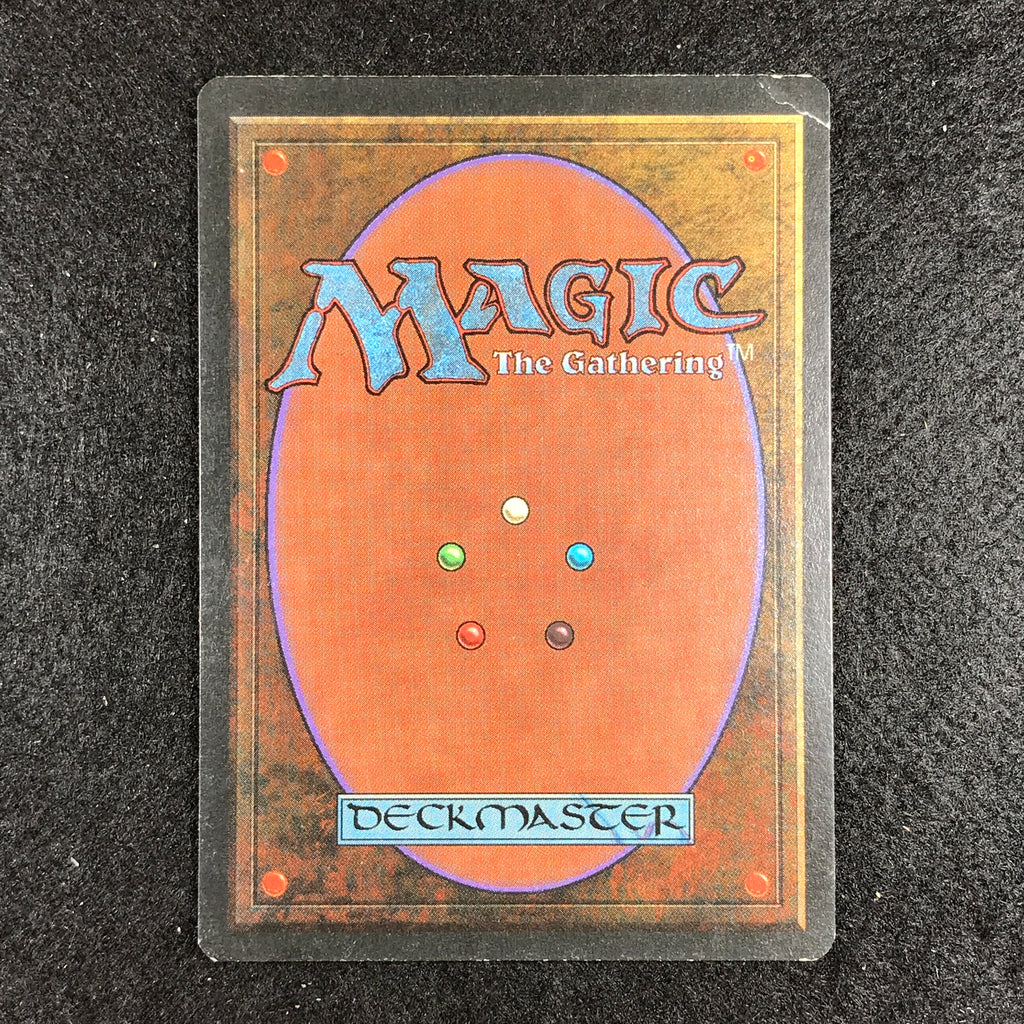Savannah - 1993 Revised Magic The Gathering – Cherry Collectables