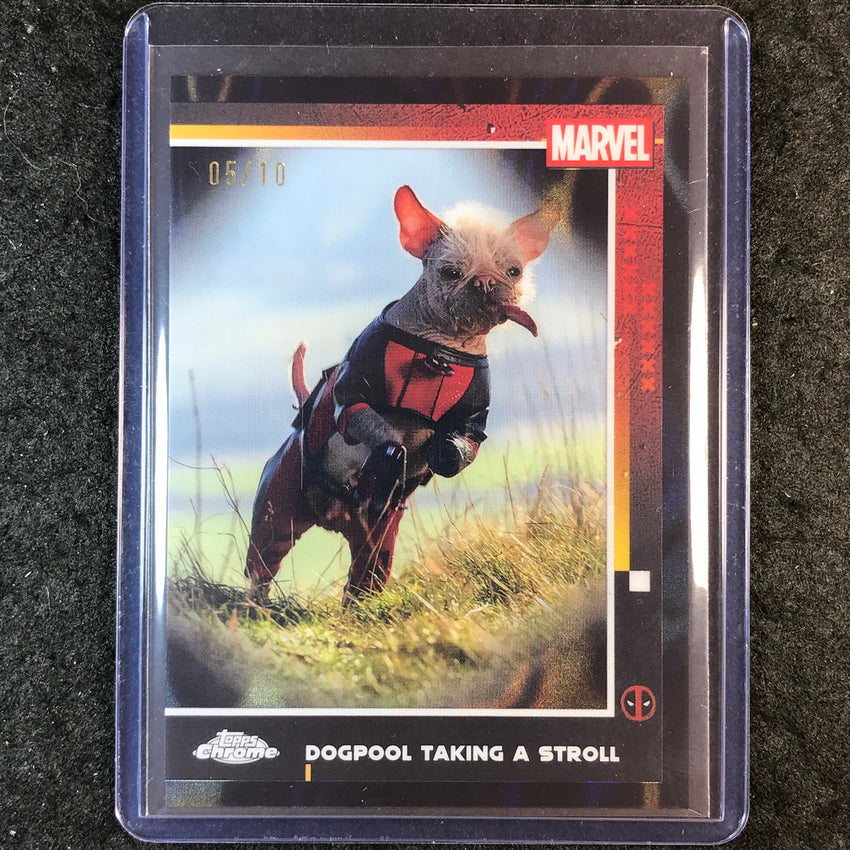 2025 Topps Chrome Deadpool DOGPOOL TAKING A STROLL Black Lava 5/10 #73