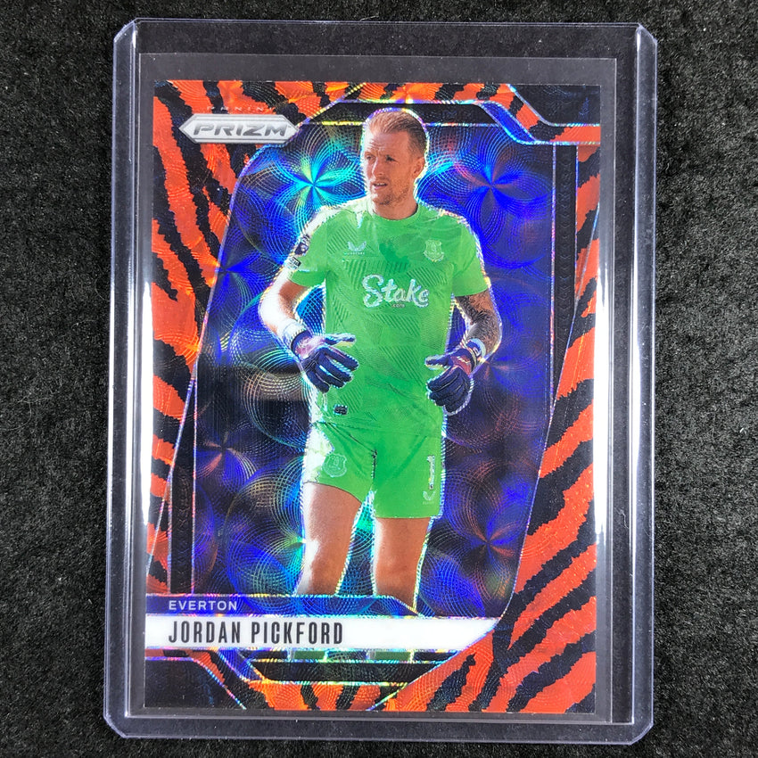 2024-25 Prizm EPL JORDAN PICKFORD Choice Tiger Stripe #233