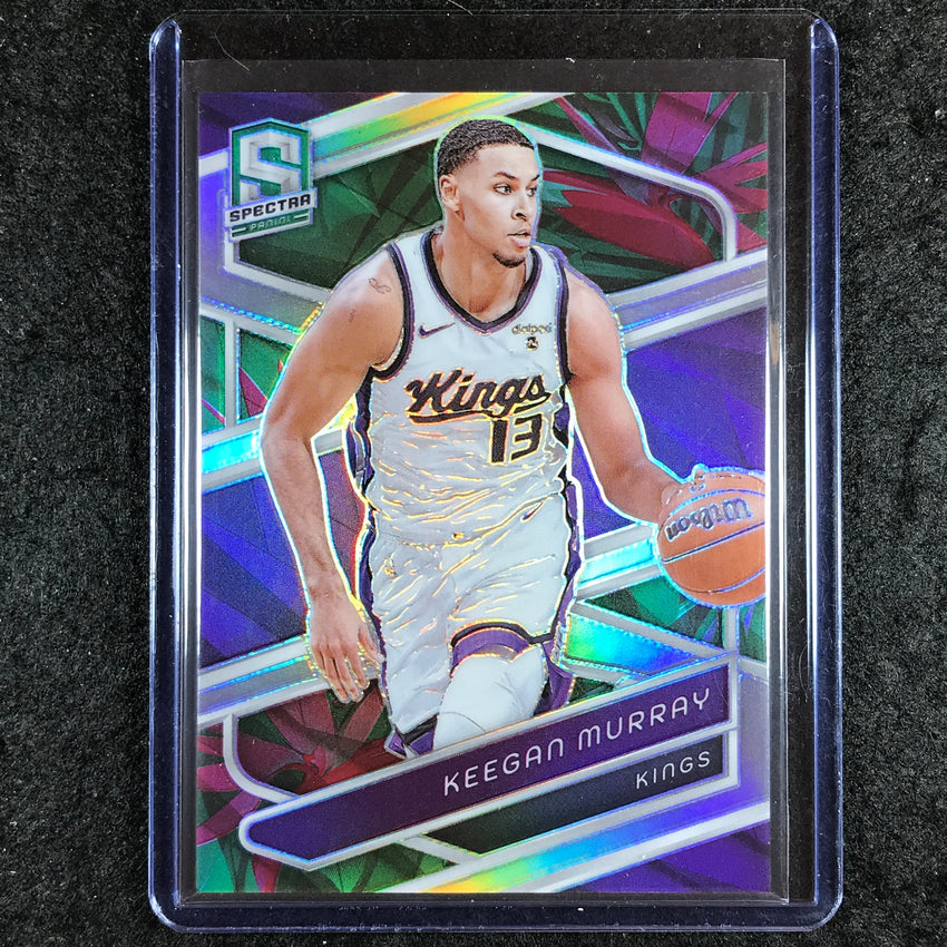 2023-24 Spectra KEEGAN MURRAY Base Menagerie SP #117