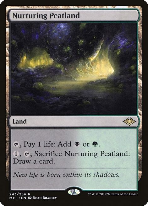 Nurturing Peatland - 243/254 - Rare Modern Horizons