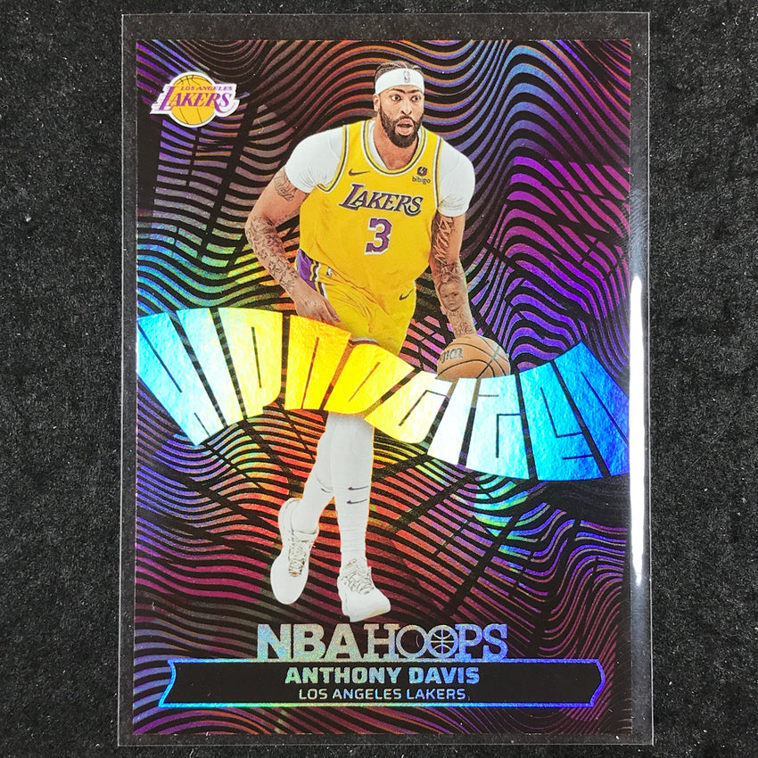 2024-25 Hoops ANTHONY DAVIS HIPnotized #2