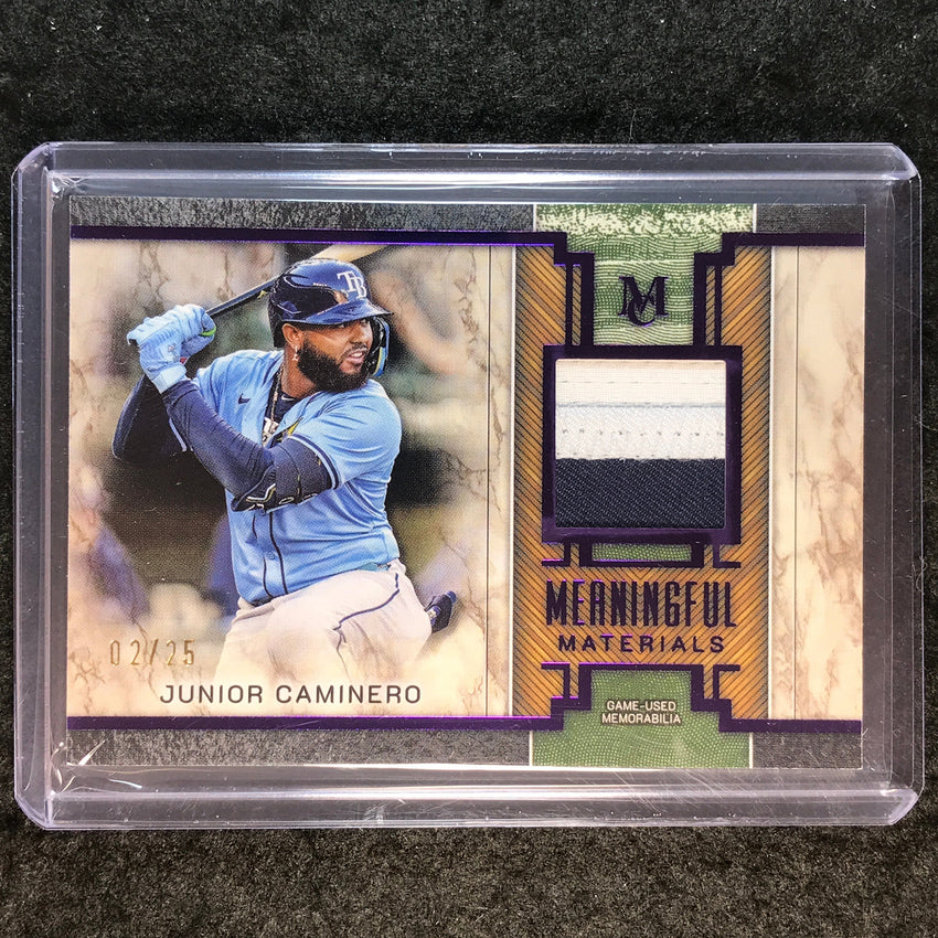 2025 Museum Baseball JUNIOR CAMINERO Meaningful Material Patch Amethyst 2/25