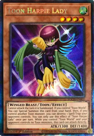COLLECTOR'S RARE Toon Harpie Lady - TOCH-EN002 - 1st Edition