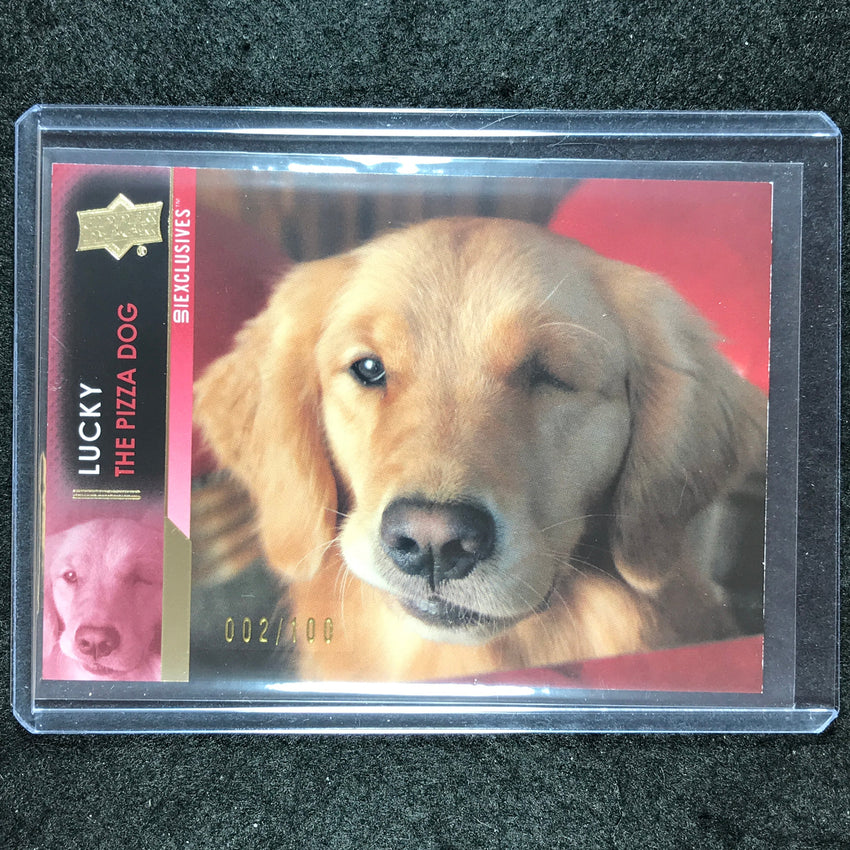 2024 Marvel Studios Series 1 Disney+ LUCKY THE PIZZA DOG Exclusives 2/100 #51