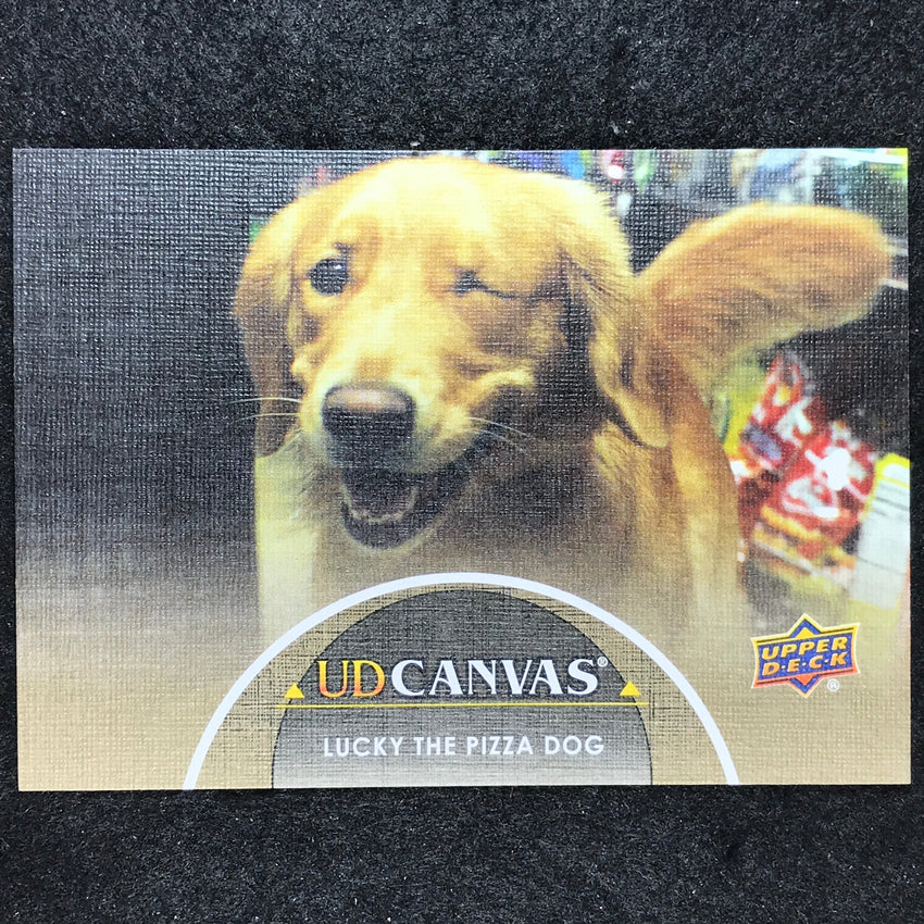 2024 Marvel Studios Series 1 Disney+ LUCKY THE PIZZA DOG UD Canvas Base #12