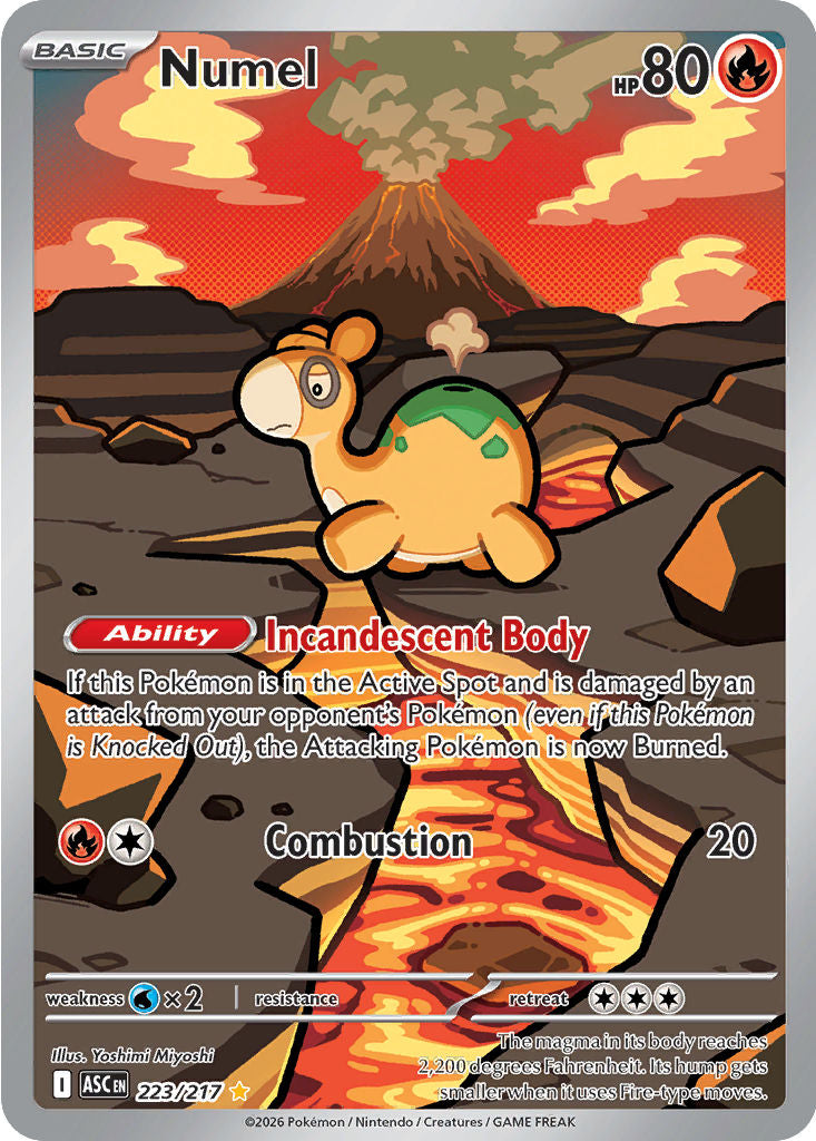 Numel - ( 223/217 ) - Illustration Rare - Pokemon ME Ascended Heroes