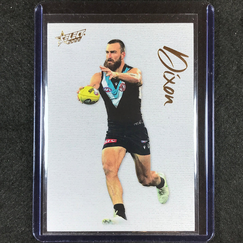 2022 Select AFL Footy Stars CHARLIE DIXON Blank Canvas 117/250