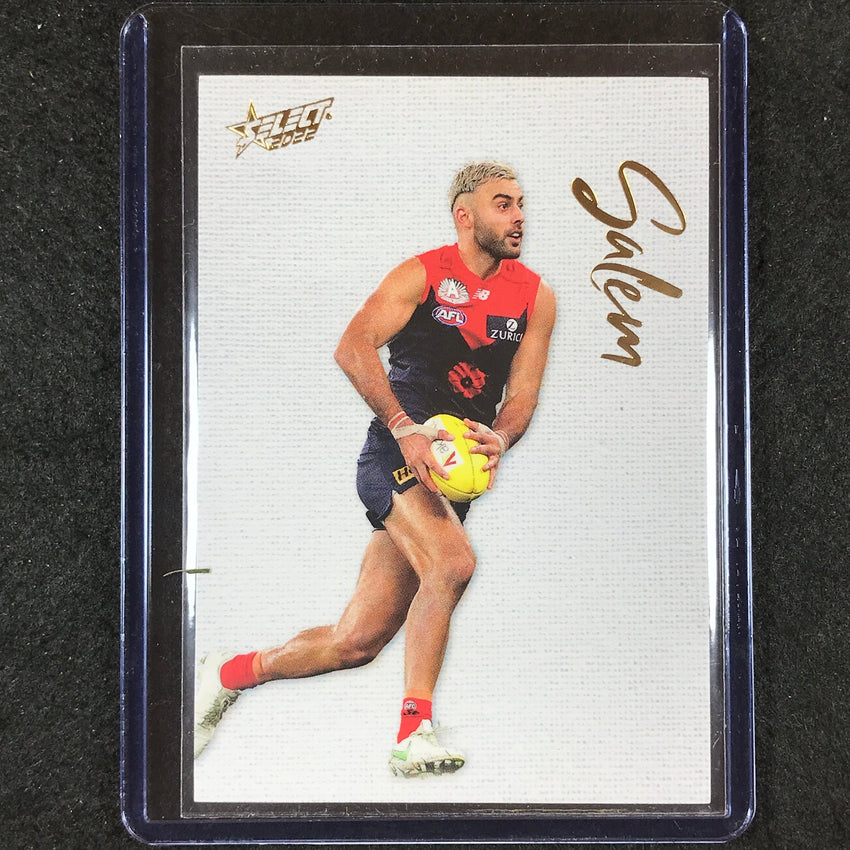 2022 Select AFL Footy Stars CHRISTIAN SALEM Blank Canvas 166/250