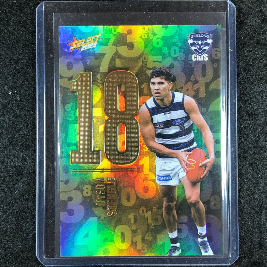 2023 Select AFL Footy Stars TYSON STENGLE Numbers 228/255