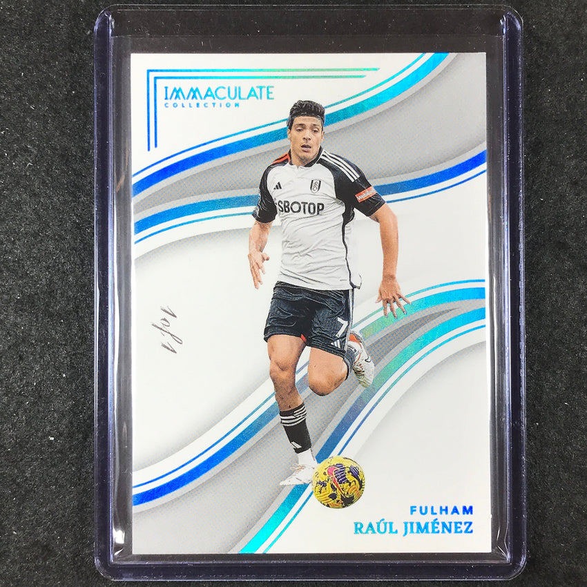 2023-24 Immaculate Soccer RAUL JIMENEZ Base Platinum 1/1 #174