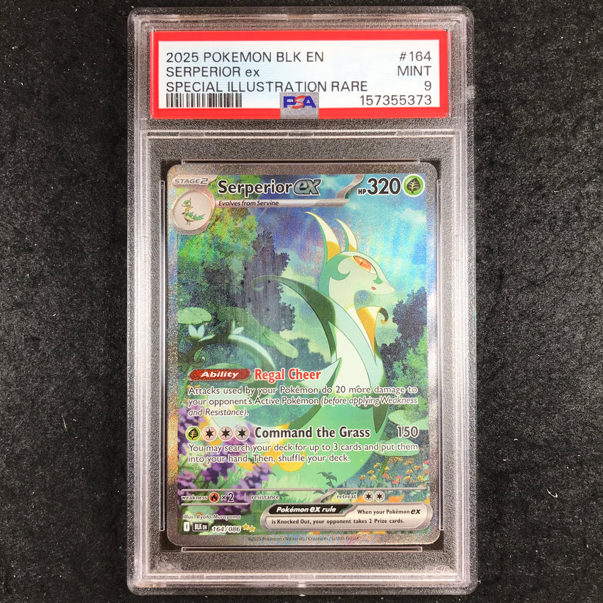 PSA 9 Serperior ex - 164/086 - Special Illustration Rare Black Bolt 373