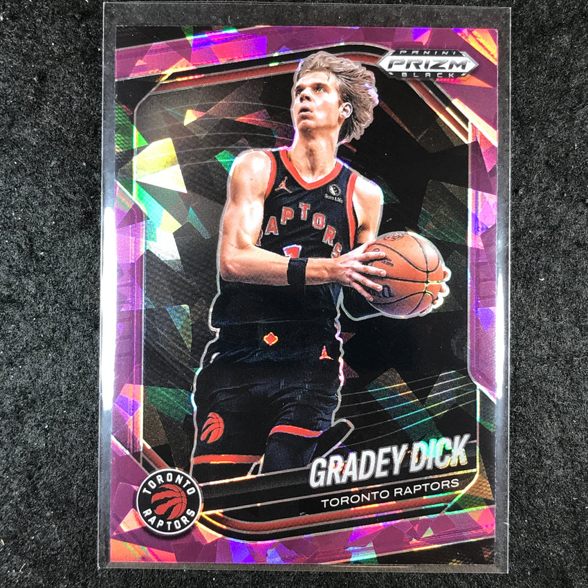 2024-25 Prizm Black GRADEY DICK Base Purple Ice /149 #58