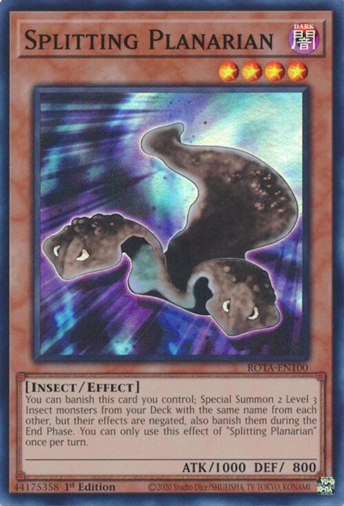 Splitting Planarian - (ROTA-EN100) Super Rare - 1st Edition