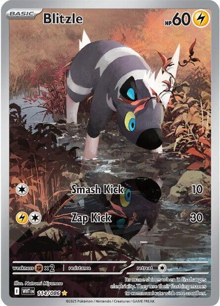 Blitzle - [  114/086 ] - Illustration Rare - Pokemon SV White Flare