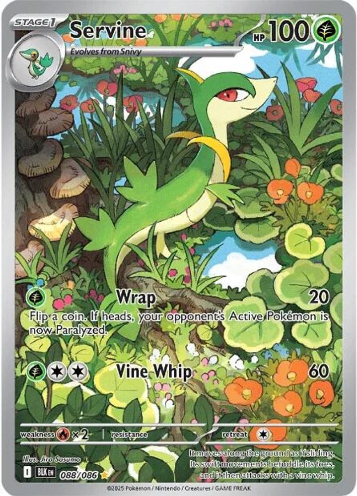 Servine - [  088/086 ] - Illustration Rare - Pokemon SV Black Bolt