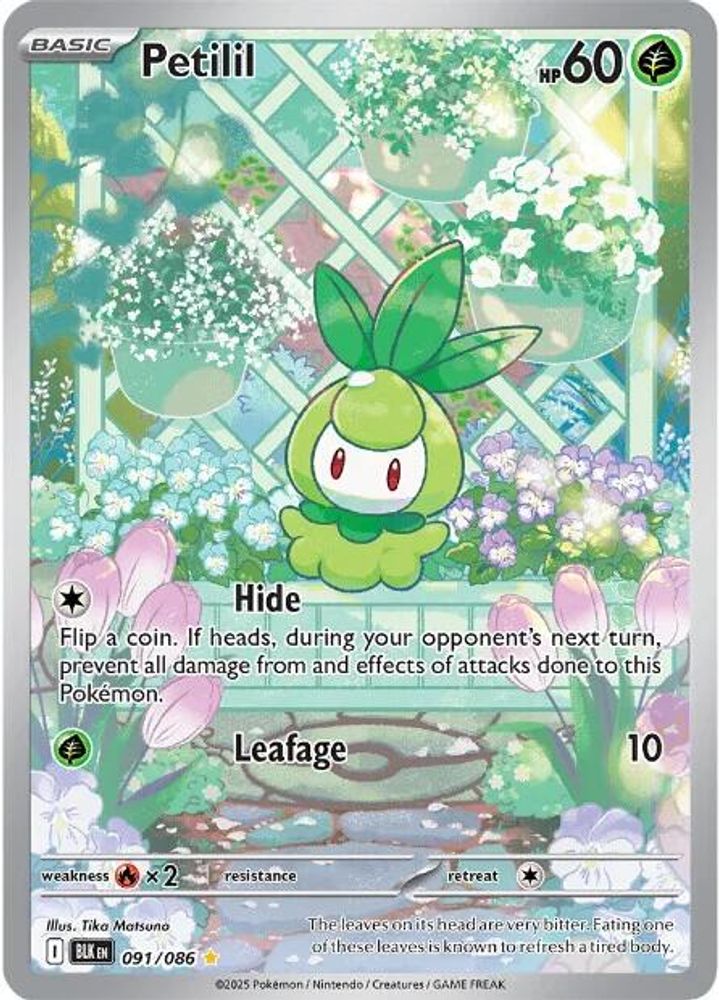 Petilil - [  091/086 ] - Illustration Rare - Pokemon SV Black Bolt
