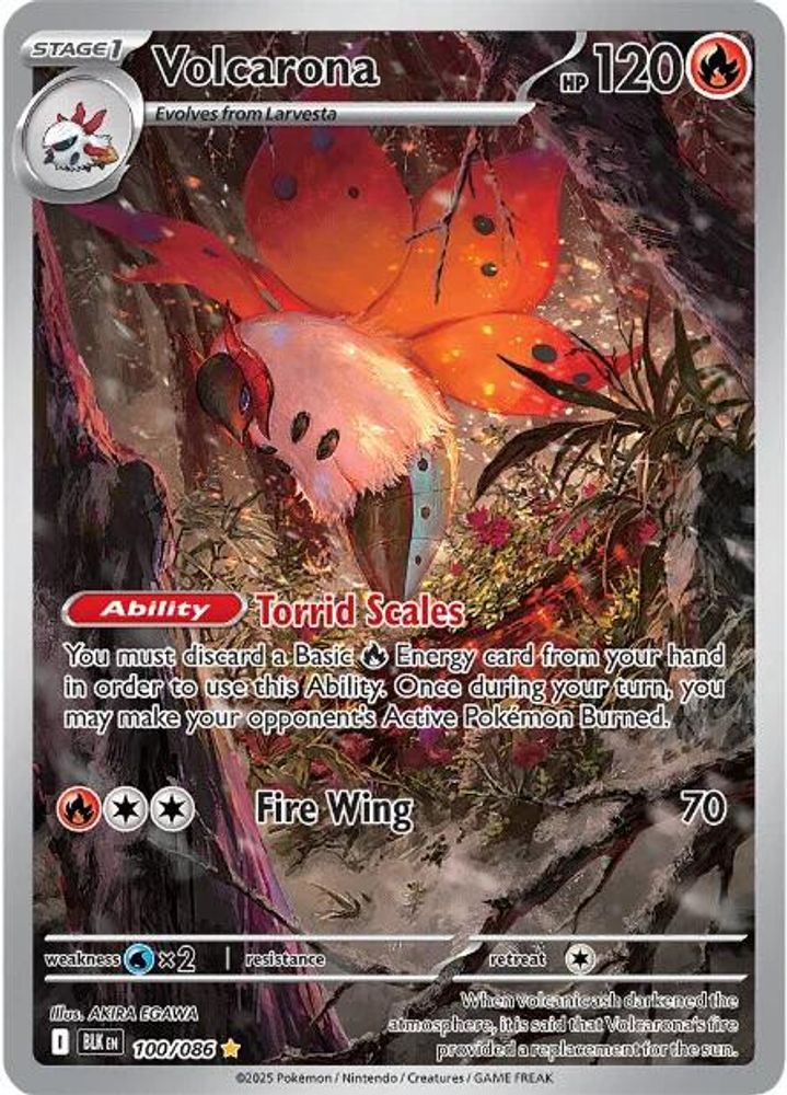 Volcarona - [  100/086 ] - Illustration Rare - Pokemon SV Black Bolt