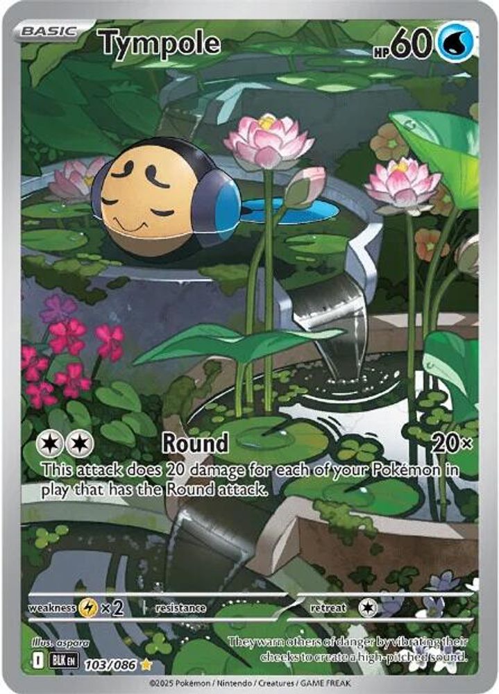 Tympole - [  103/086 ] - Illustration Rare - Pokemon SV Black Bolt