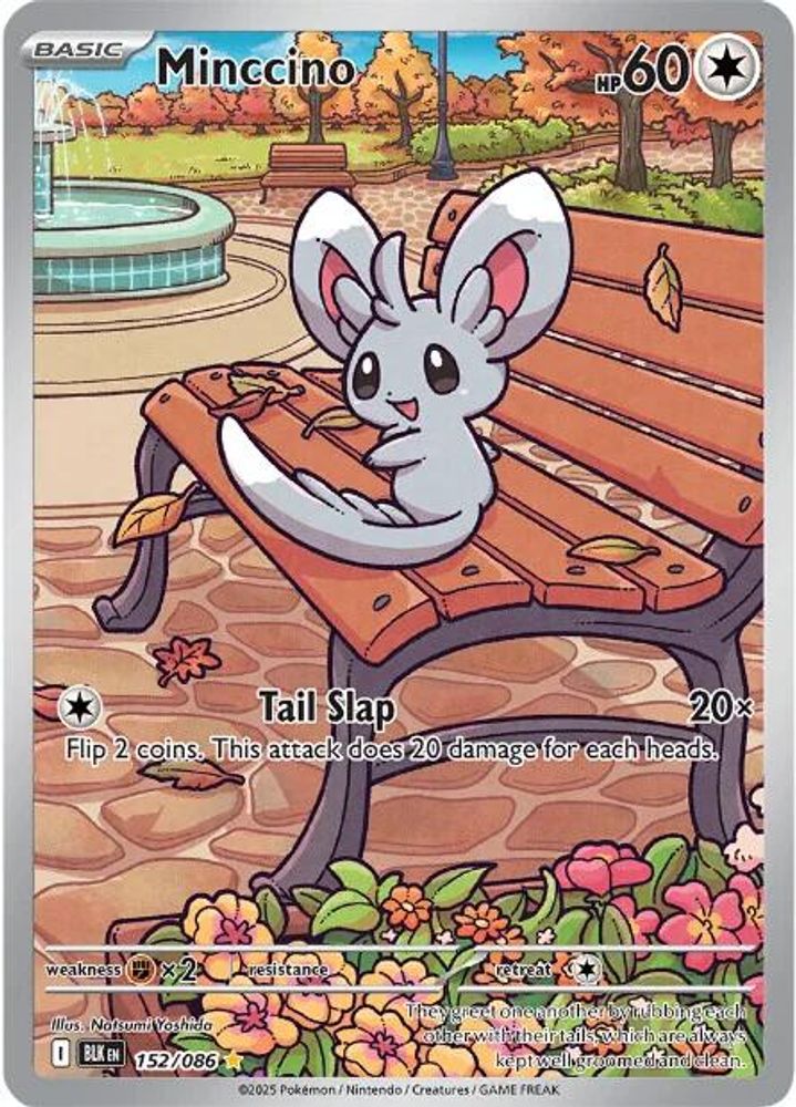 Minccino - [  152/086 ] - Illustration Rare - Pokemon SV Black Bolt
