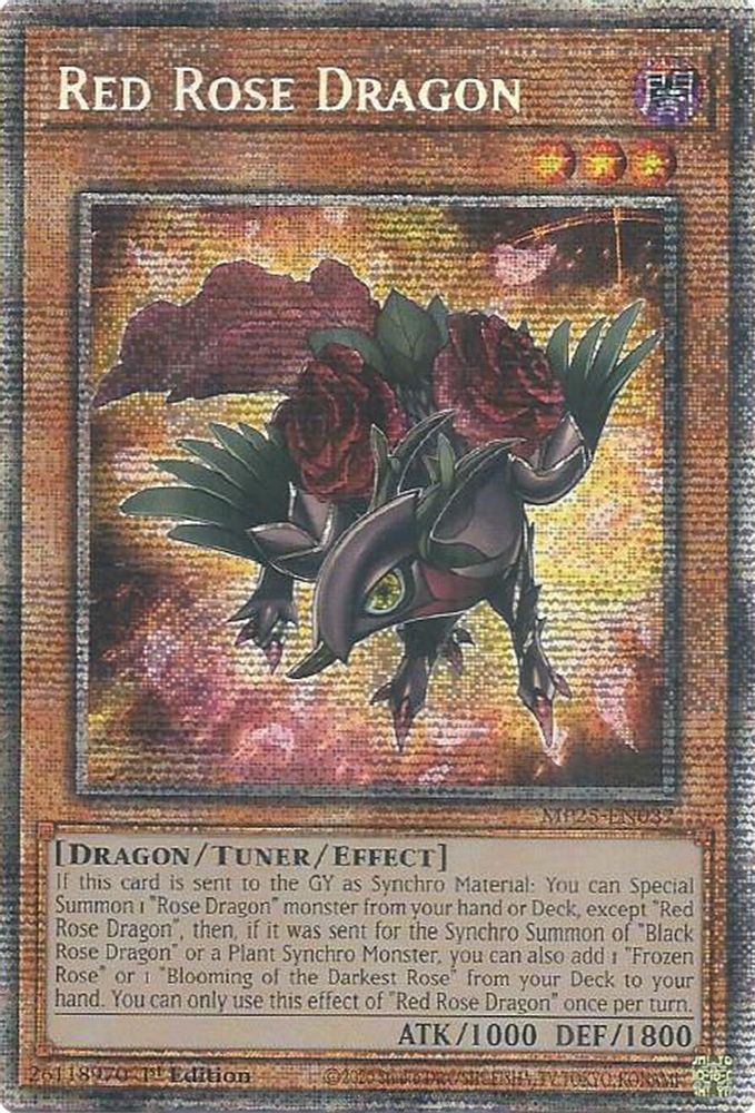 [STARLIGHT RARE] Red Rose Dragon - (MP25-EN037) - 1st Edition