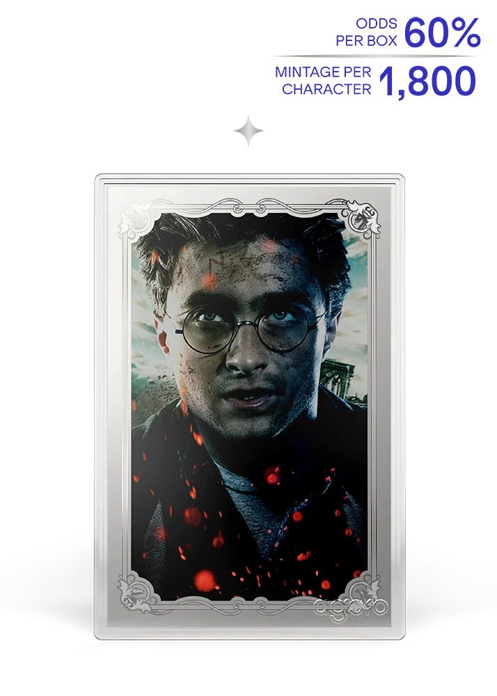2026 Agoro HARRY POTTER vs Voldemort - Blind Box