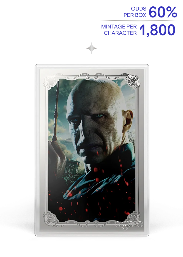 2026 Agoro HARRY POTTER vs Voldemort - Blind Box