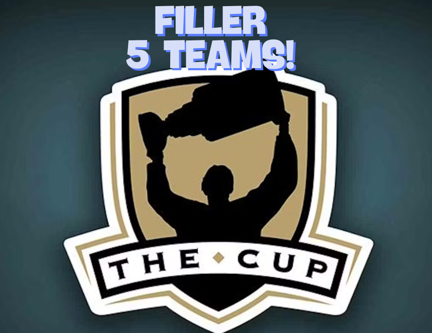 THE CUP FILLER - 24-25 Hockey 1-Pack Opening #30388 - Random Team - Nov 21 (4pm)