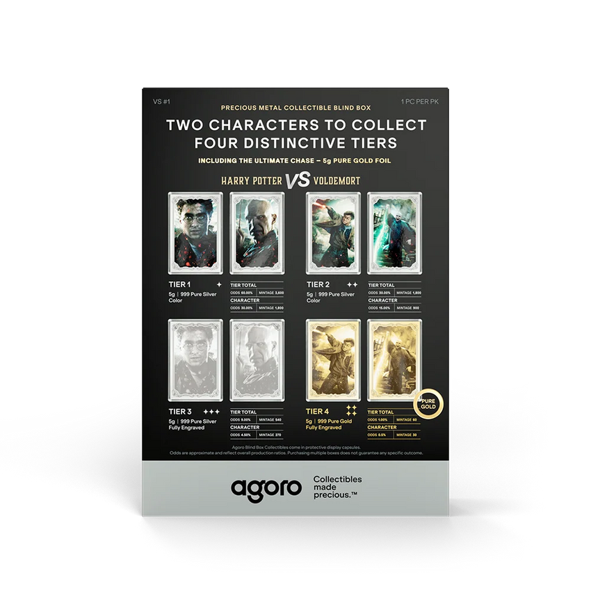 2026 Agoro HARRY POTTER vs Voldemort - Blind Box