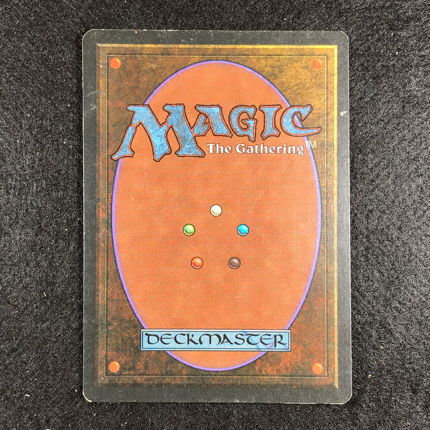Tropical Island - 1993 Revised Magic The Gathering