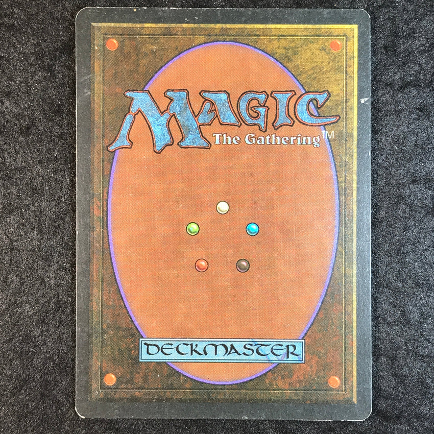 Tropical Island - Rare - 1994 Magic the Gathering Revised Edition