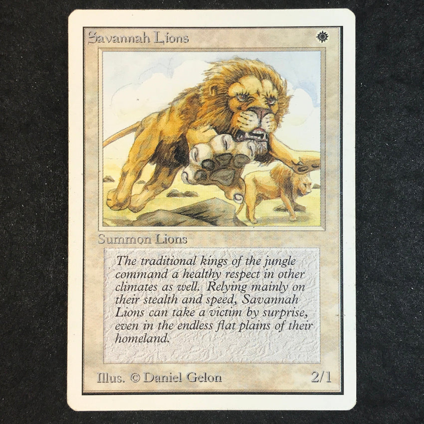 Savannah Lions - Rare - 1993 Magic the Gathering Unlimited Edition