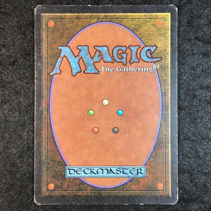 Savannah Lions - Rare - 1993 Magic the Gathering Unlimited Edition