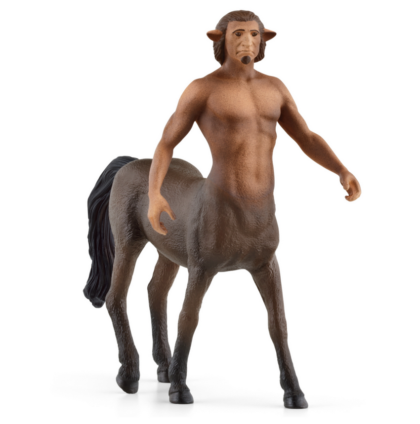 Schleich - Harry Potter Wizzarding World - Firenz