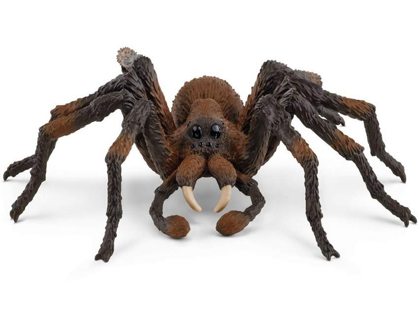 Schleich - Harry Potter Wizzarding World - Aragog