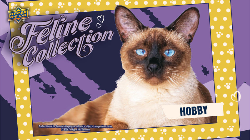 2026 Upper Deck Feline Collection Hobby Box (Pre Order)