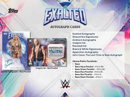 2025 WWE Exalted Hobby 1 Box Opening - #31913・Random Wrestler (Apr 01 4pm)
