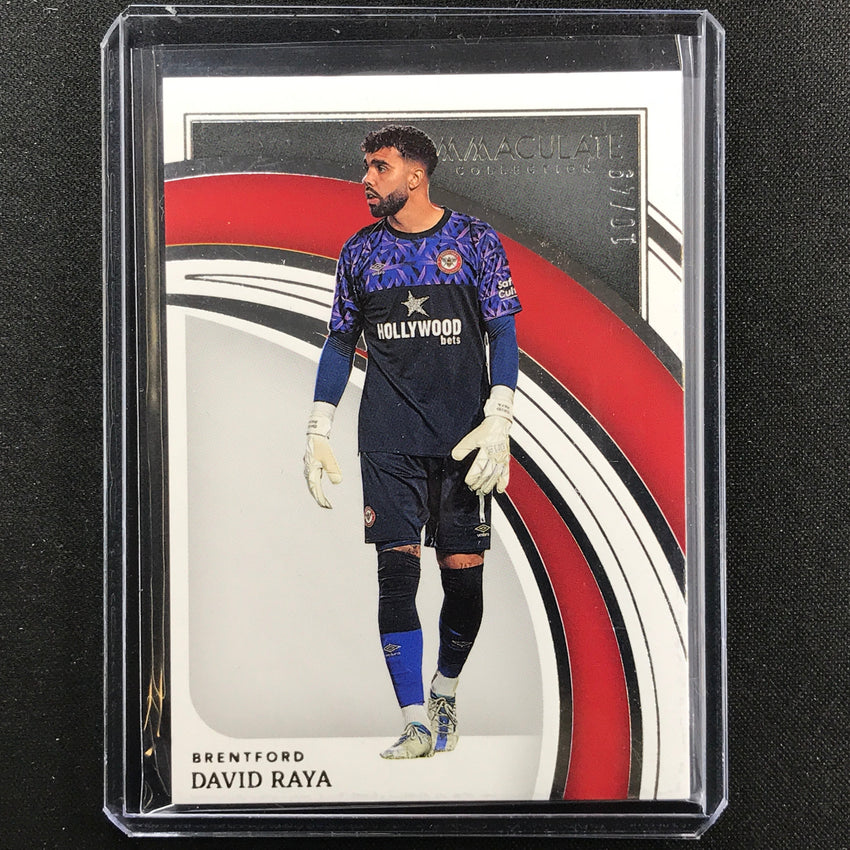 2022-23 Immaculate David Raya Base Silver 10/49