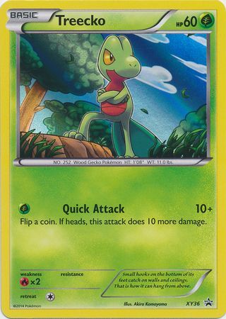 Treecko - XY36 - Holo Promo-Cherry Collectables
