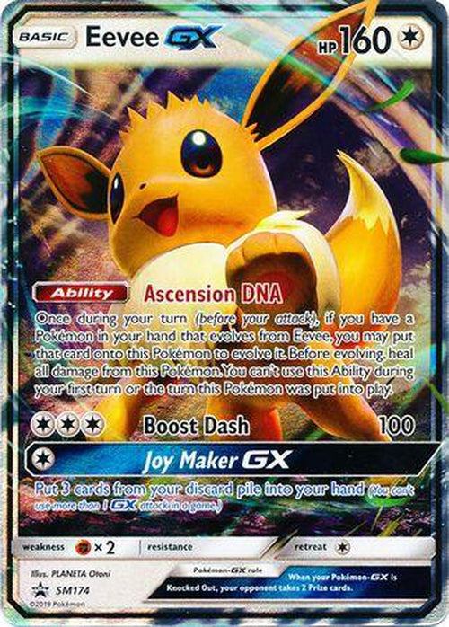 Eevee GX - SM174 - Promo-Cherry Collectables