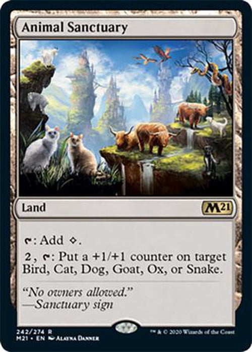 FOIL - Animal Sanctuary 242/274 - Core Set 2021-Cherry Collectables