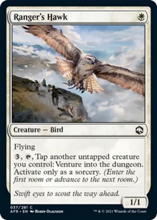FOIL Ranger's Hawk 037/281 - Adventures in the Forgotten Realm