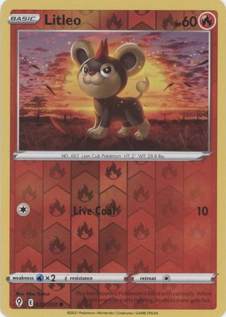 Litleo - 22/203