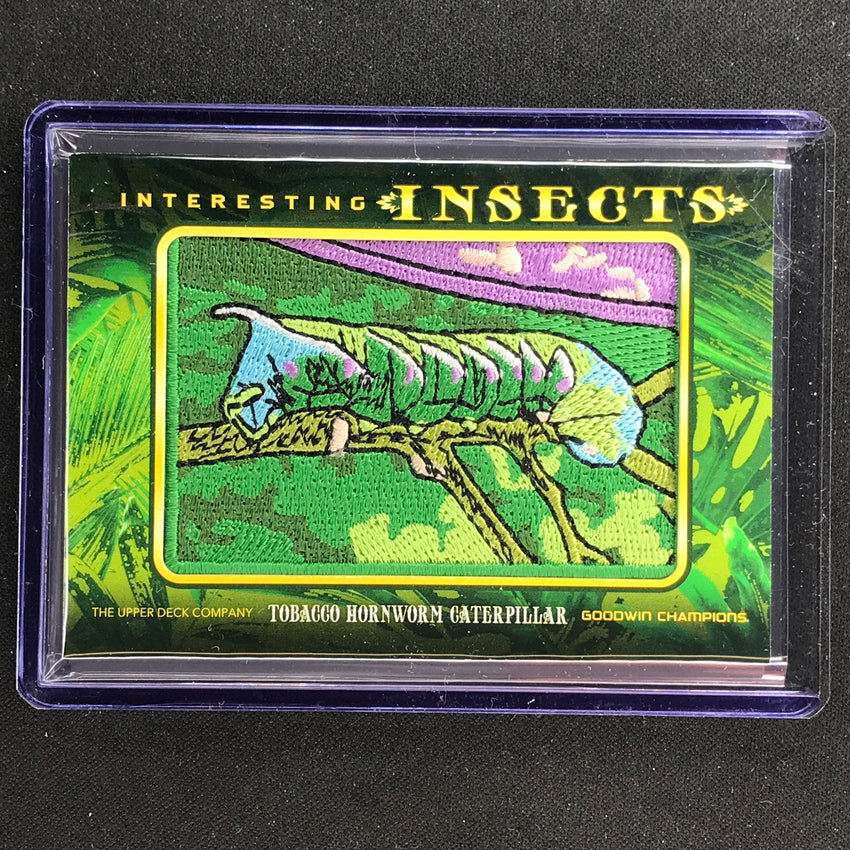 2022 Goodwin Champions TOBACCO HORNSWORM CATERPILLAR Interesting Insects #21