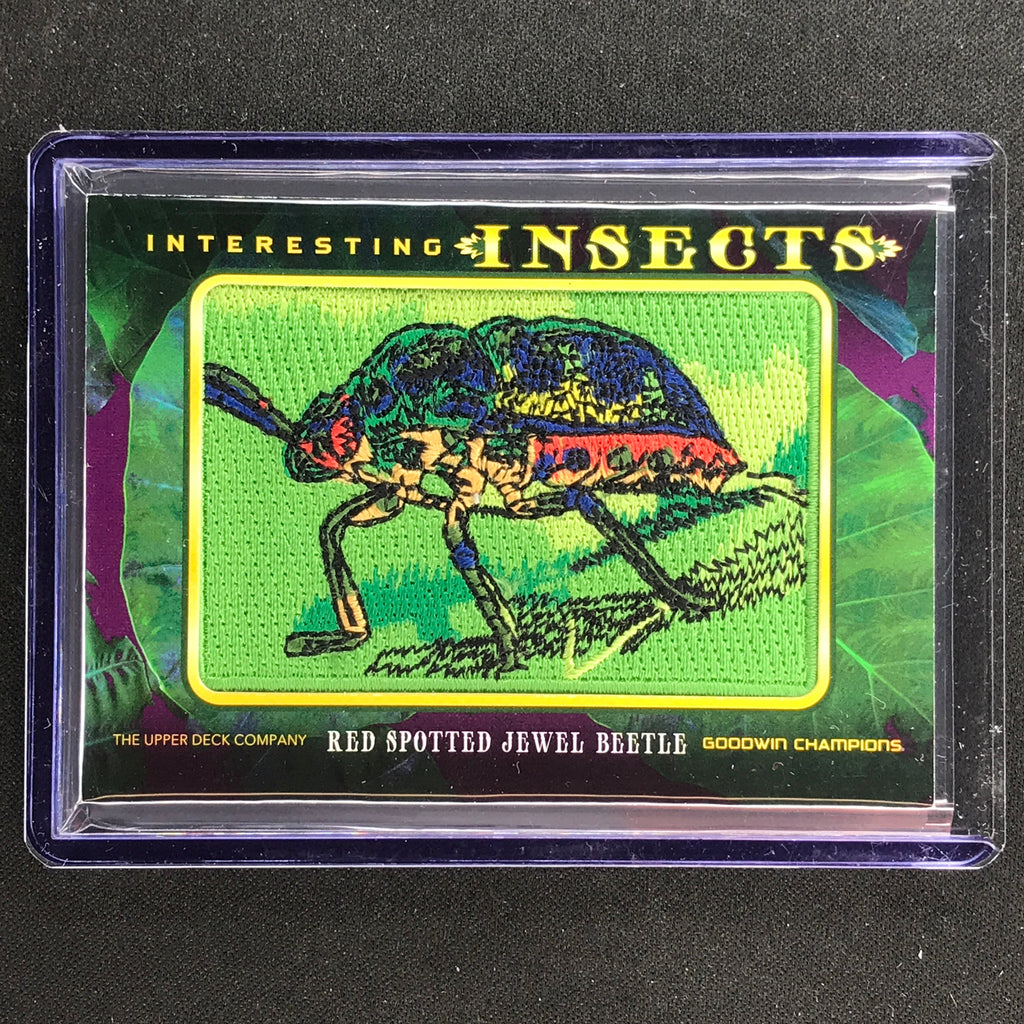 2022 Goodwin Champions Red Spotted Jewel Beetle Interesting Insects No ...