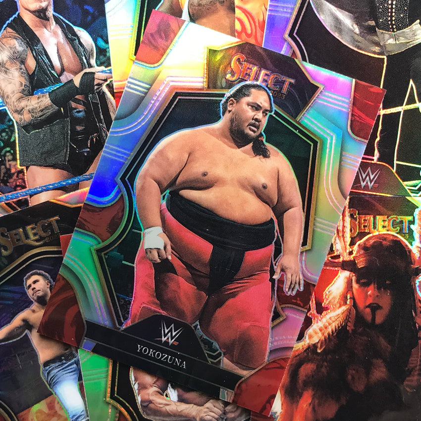 2023 Select WWE RANDY ORTON Premier Level Silver Prizm #101