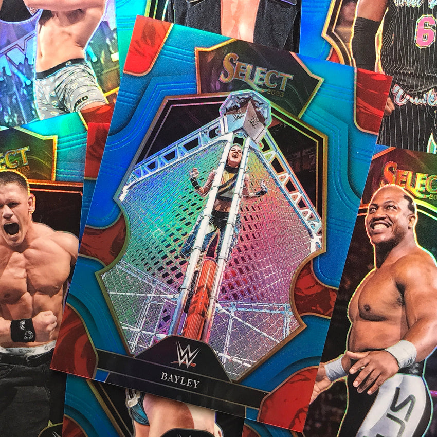 2023 Select Wwe Ultimate Warrior Premier Level Blue /199 No 142