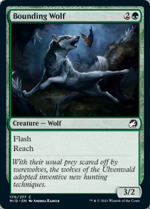 170Bounding Wolf 170/277 Common - Midnight Hunt