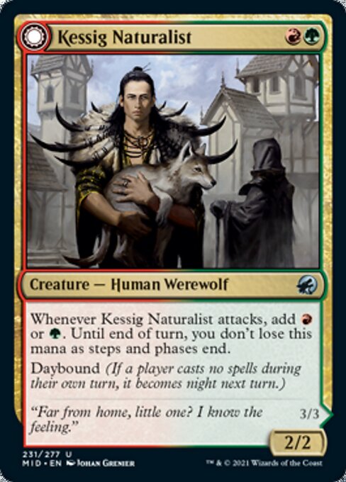231Kessig Naturalist // Lord of the Ulvenwald 231/277 Uncommon - Midnight Hunt