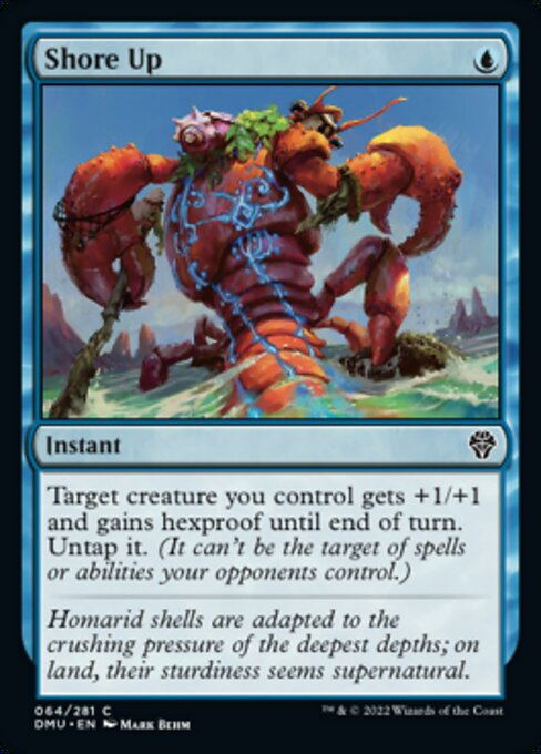 Shore Up - 64 /281 - Common - FOIL 